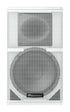 Pioneer XY-101 10" Two-Way Full Range Passive Loudspeaker White
