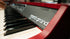 Nord Grand 88-Key Hammer-Action Stage Piano, Ivory Touch, Weighted Keys