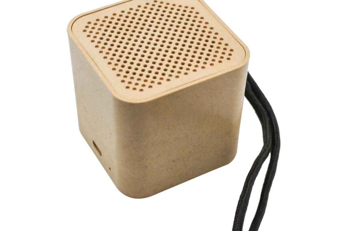 Compact Speaker