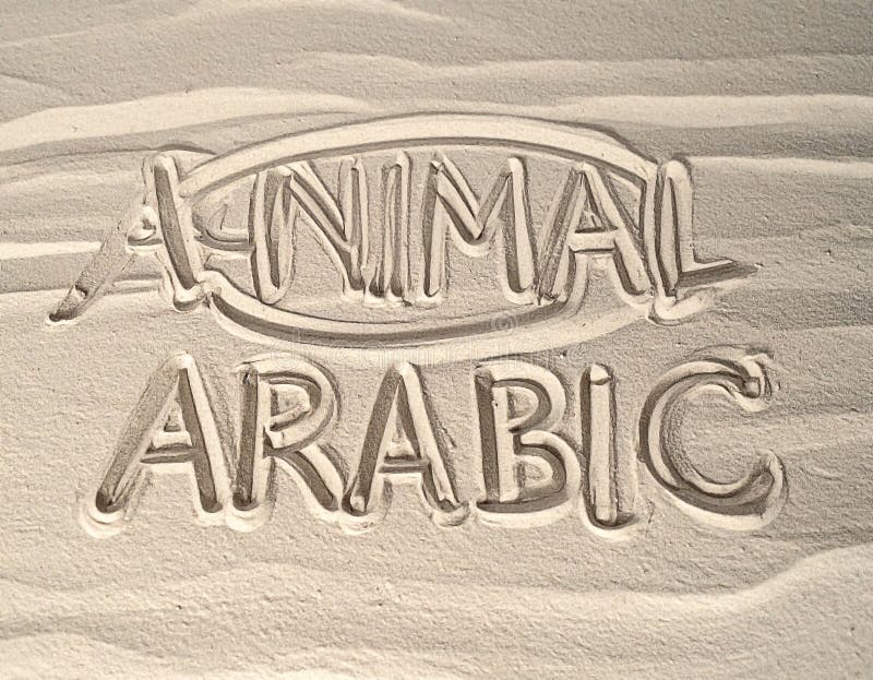 API Error 429 You Exceeded Your Current Quota Please Check Your Plan ...